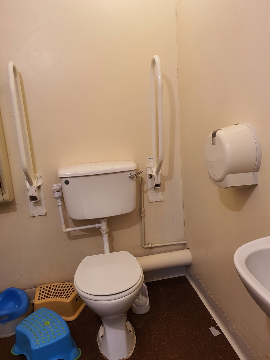 Accessible toilet with bars