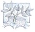 Wellington Baptist Church logo - greyscale sketch of new leaves and branches sprouting from a tree stump
